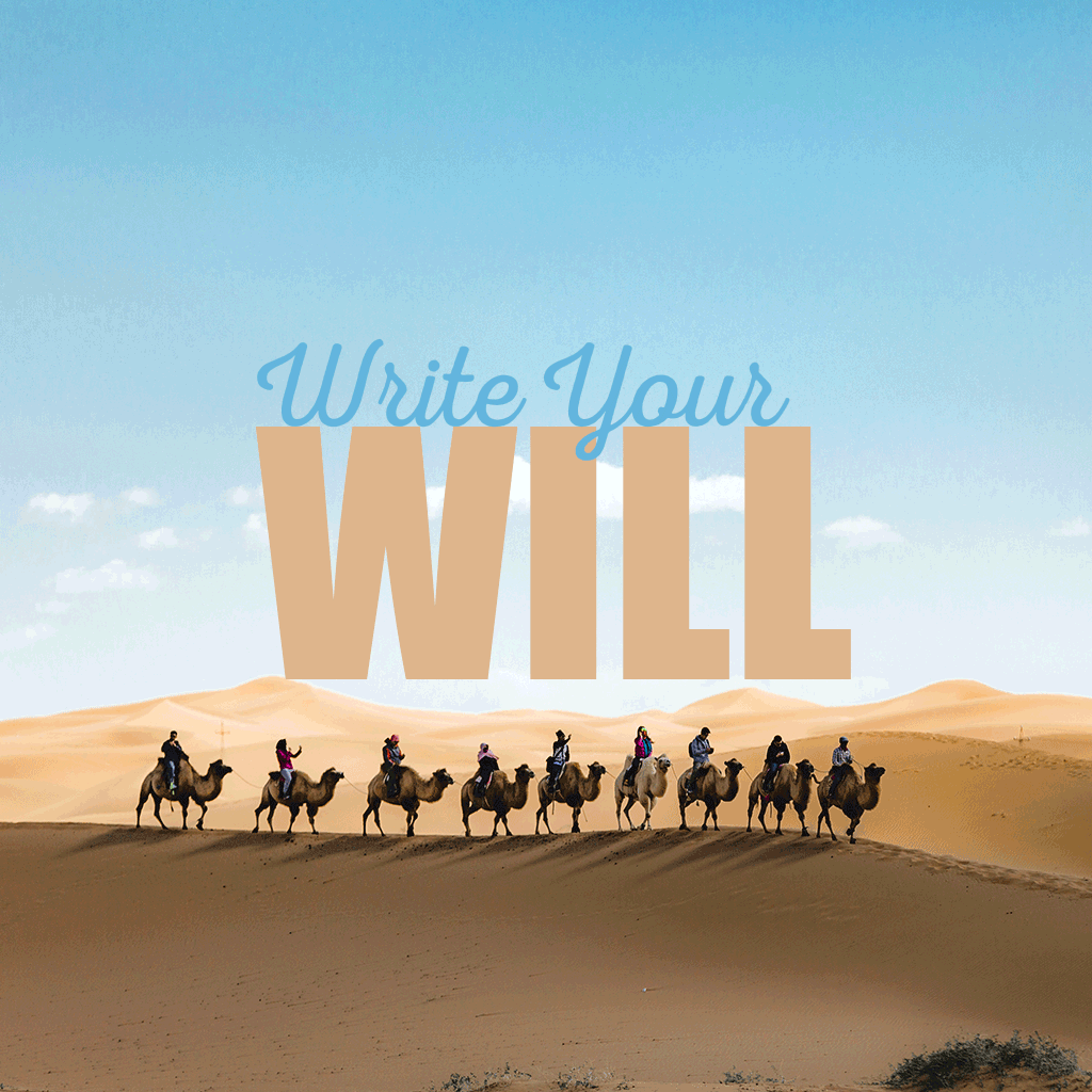 Write your Will